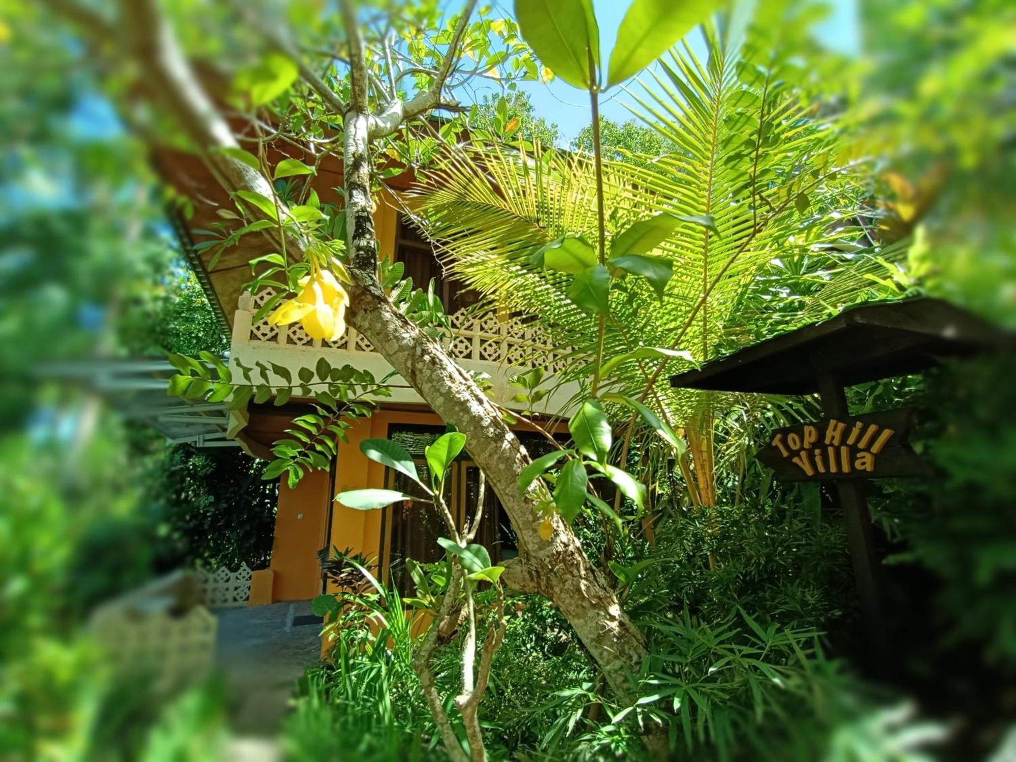 Inn Tangkoko Sanctuary